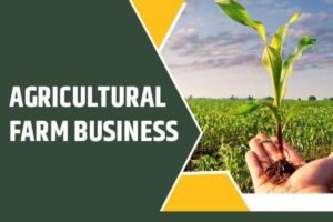 Business দীর্ঘস্থায়ী মুনাফা সহ সেরা আইডিয়া